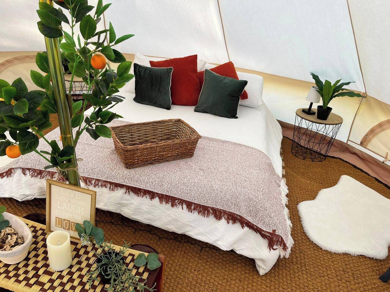 WiFi, bed sheets