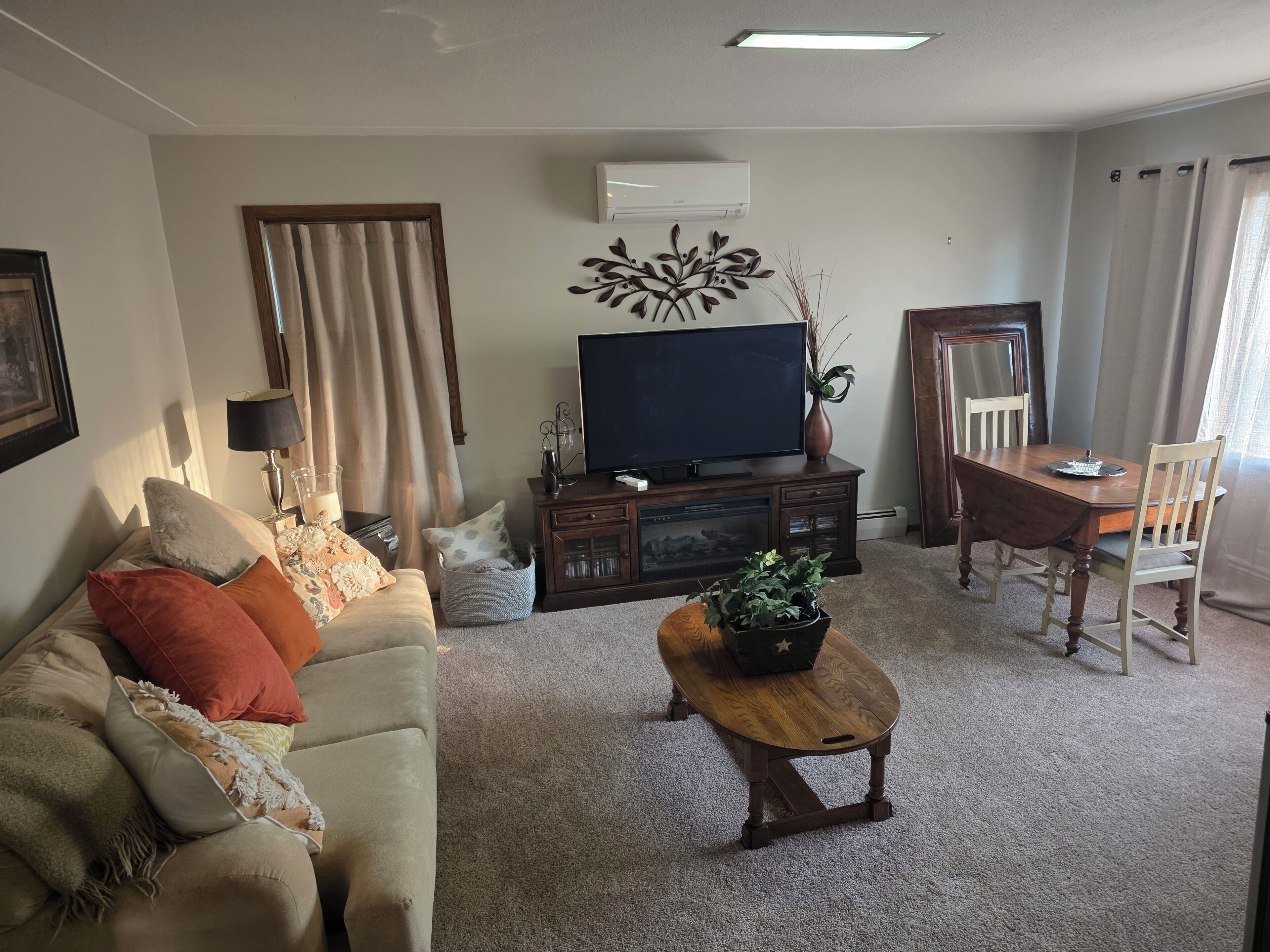 Smart TV, DVD player, books, video library