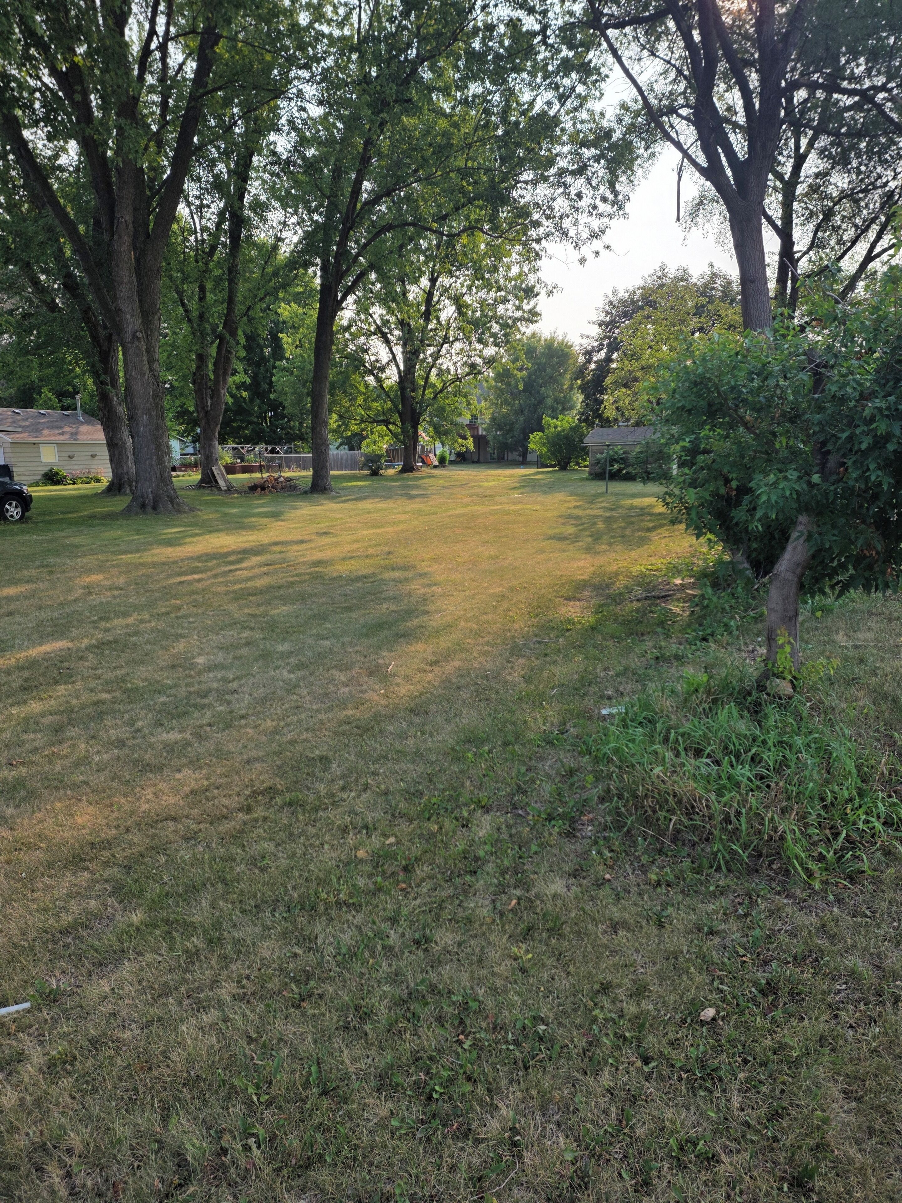 A grassy yard with trees and a house in the background.