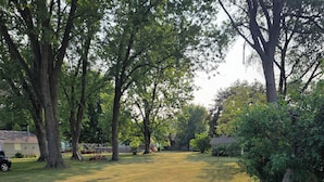 A grassy yard with trees and a house in the background. - Spacious 4-bedroom house in tranquil Farmington with yard and fire pit. (Farmington)