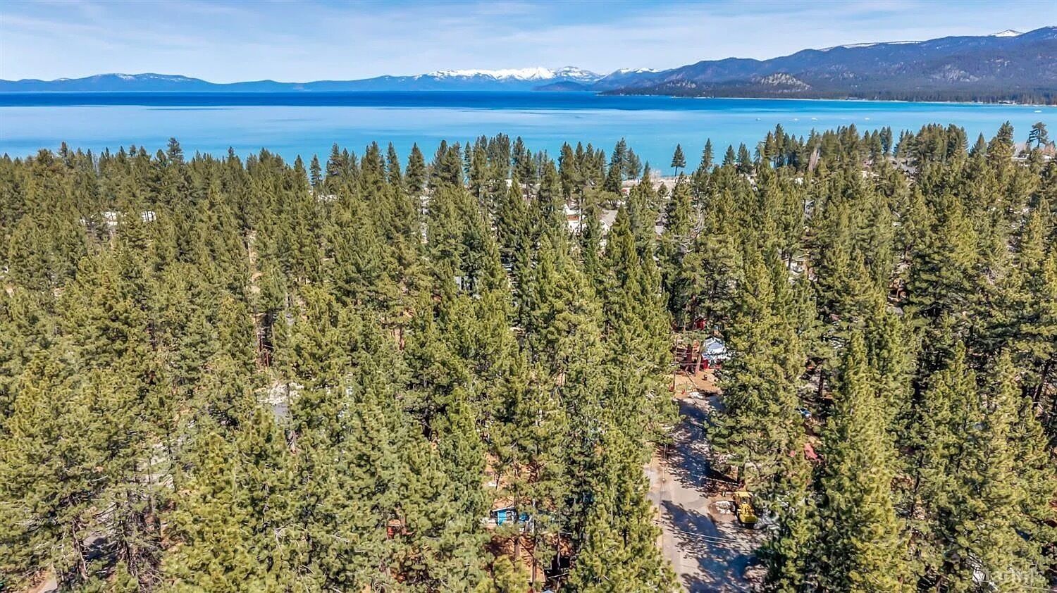 A dense forest with a clear view of a lake and mountains in the distance.