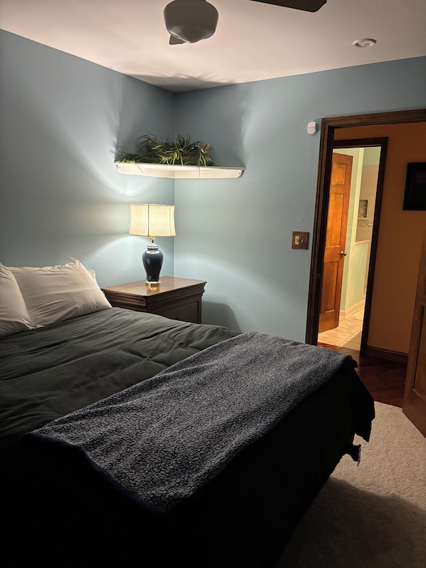 A bedroom with a bed, bedside lamp, and a plant on a shelf.