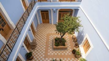 Un patio con piso a cuadros, un árbol central y plantas en macetas.
