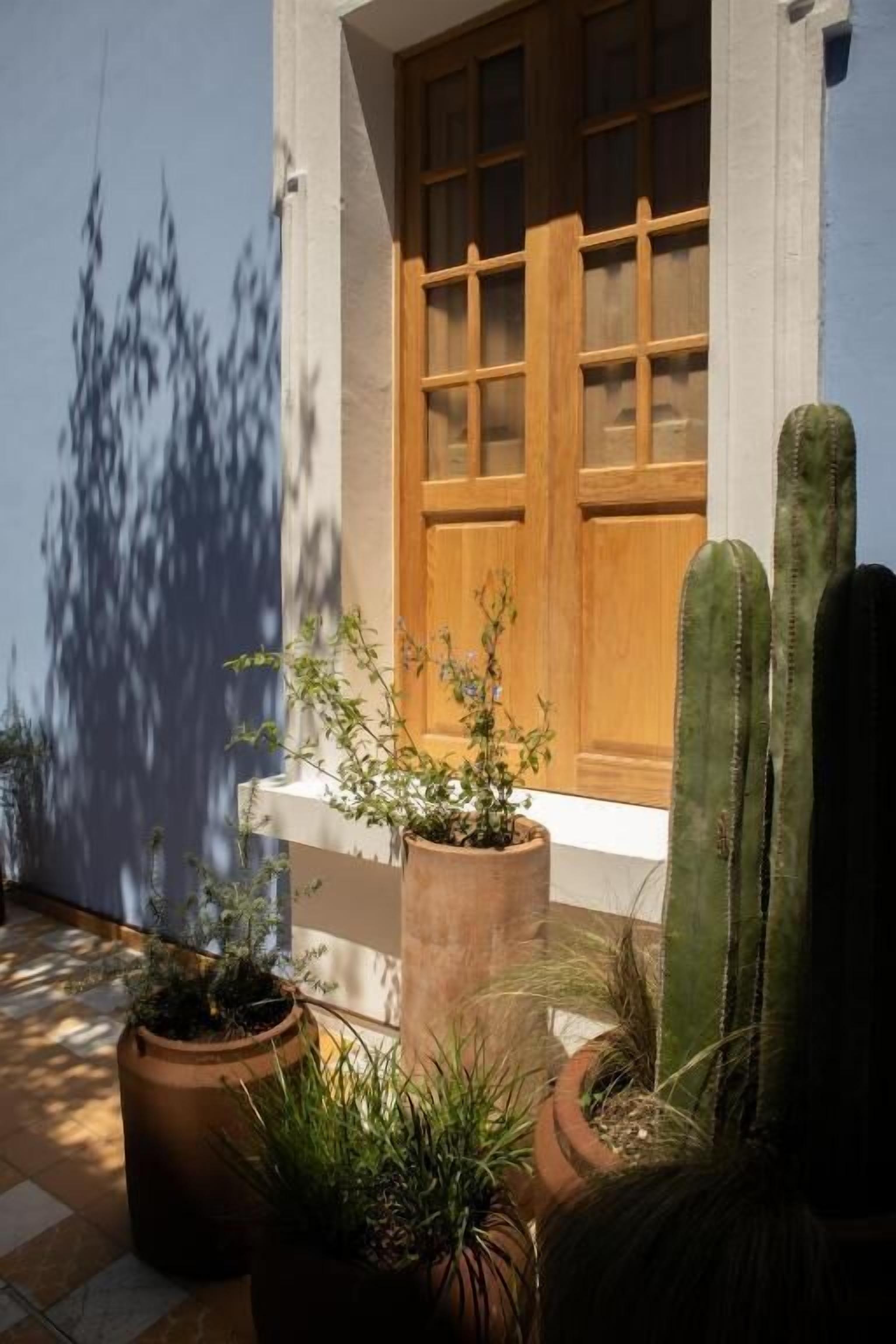 A building entrance with a wooden door, potted plants, and a cactus.