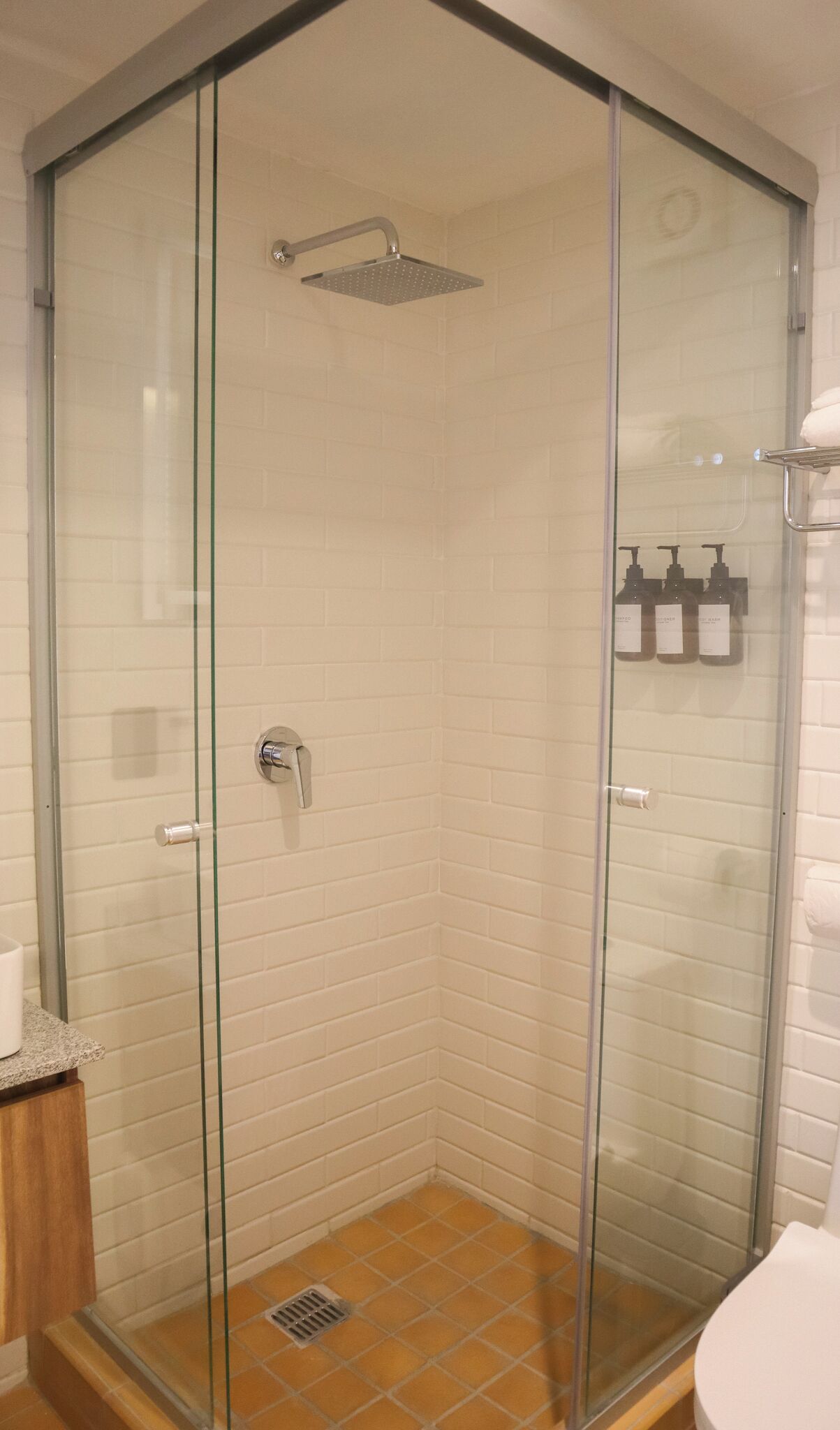 En brusekabine med glasvægge, en brusehoved, et toilet og en lille hylde med toiletartikler.