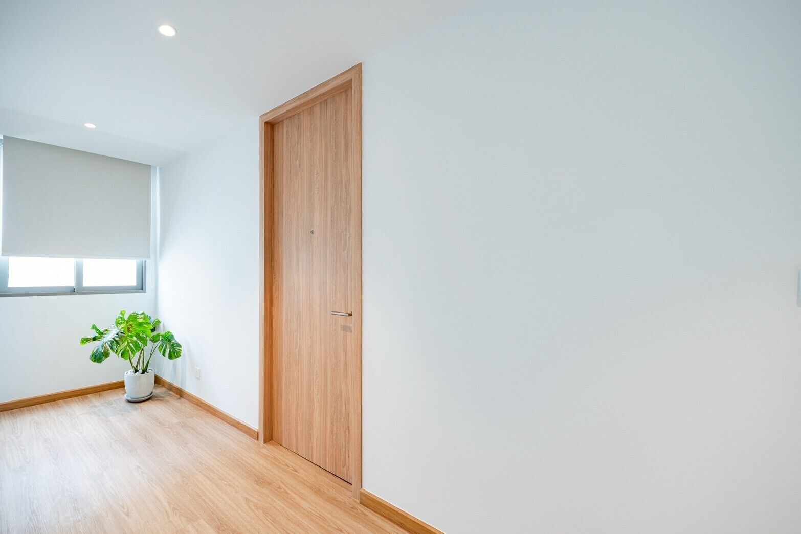 Un pasillo con una puerta de madera, una planta en maceta y una ventana con persianas.
