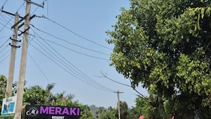Een bord voor Meraki Resort met een mascottefiguur, omringd door begroeiing en een verharde weg.