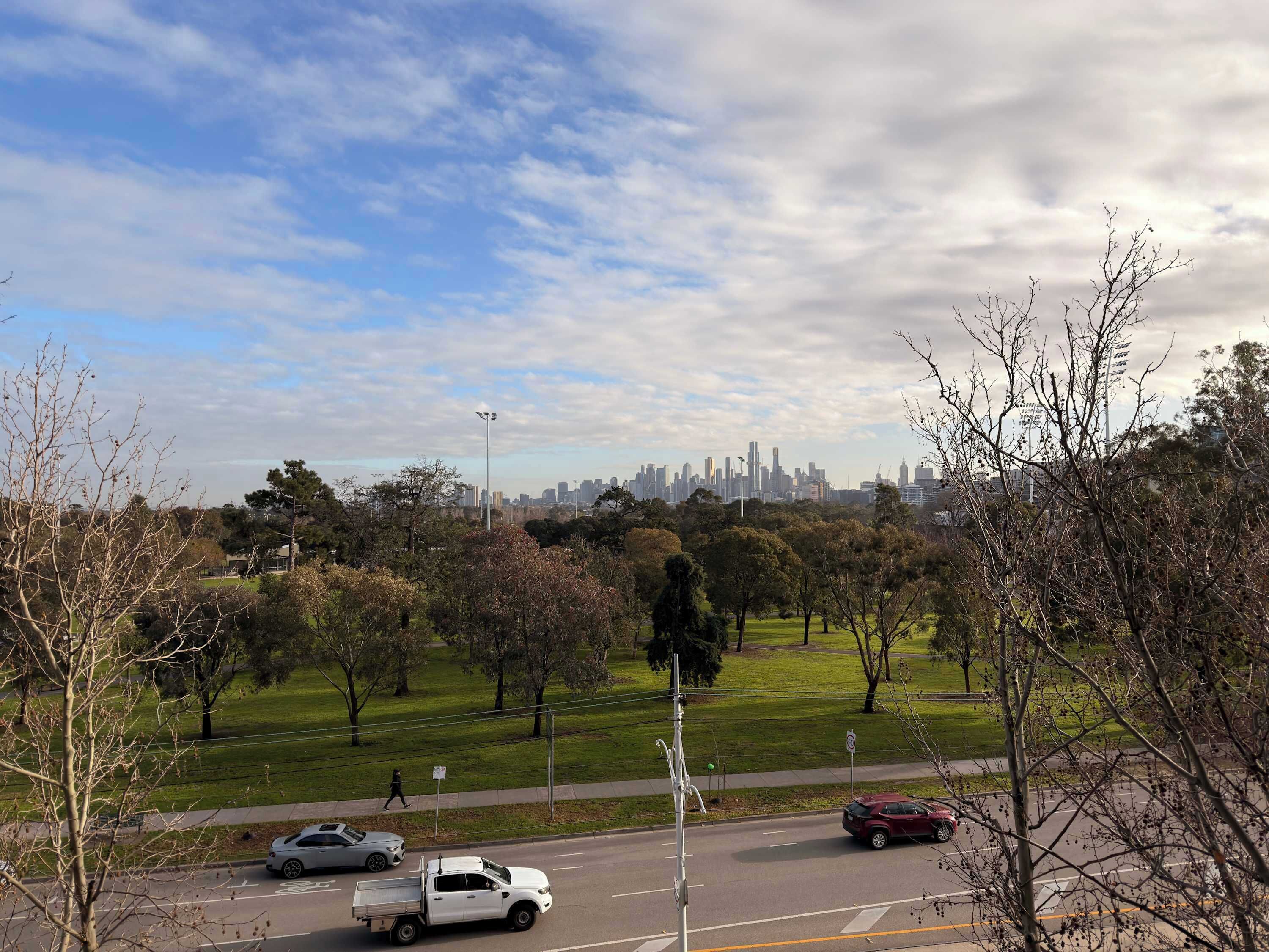 A park with trees and a road with cars.