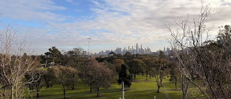 A park with trees and a road with cars.