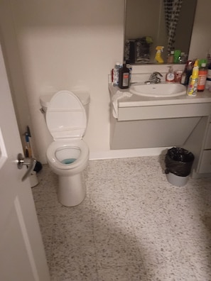 A bathroom with a toilet, sink, and a trash bin.