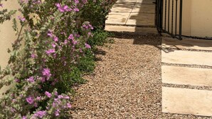 A pathway leading to a gated entrance with a beige wall and gravel ground. - CM House with Parking (Hermosillo)