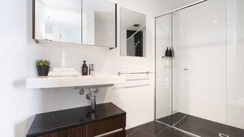 Shower, hair dryer, towels