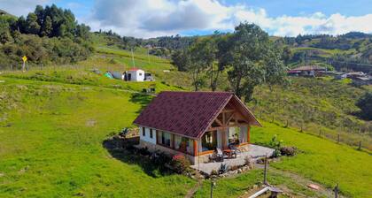 The Best View in the Region, Private Beach, Cabin (Pet-Friendly)
