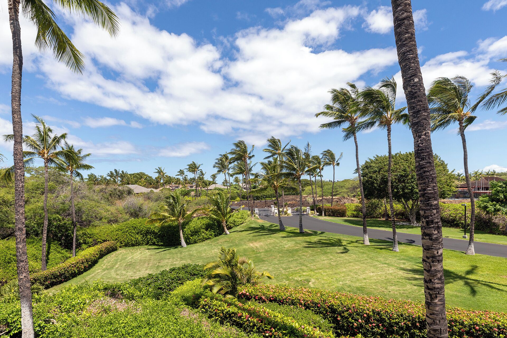 A landscaped area with palm trees, manicured lawns, and a road.