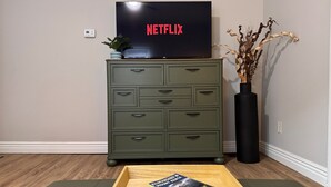 A room with a green chest of drawers, a black vase with dried plants, a wooden tray with books, and a television displaying the Netflix logo. - Central Location | Park Views | Fiber WIFI (Bloomington)