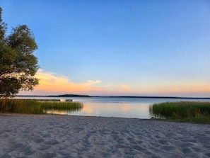 ビーチ