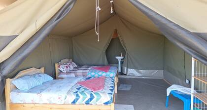 Cozy 1-bedroom cottage in quaint Sekenanii Nested with Maasai Mara