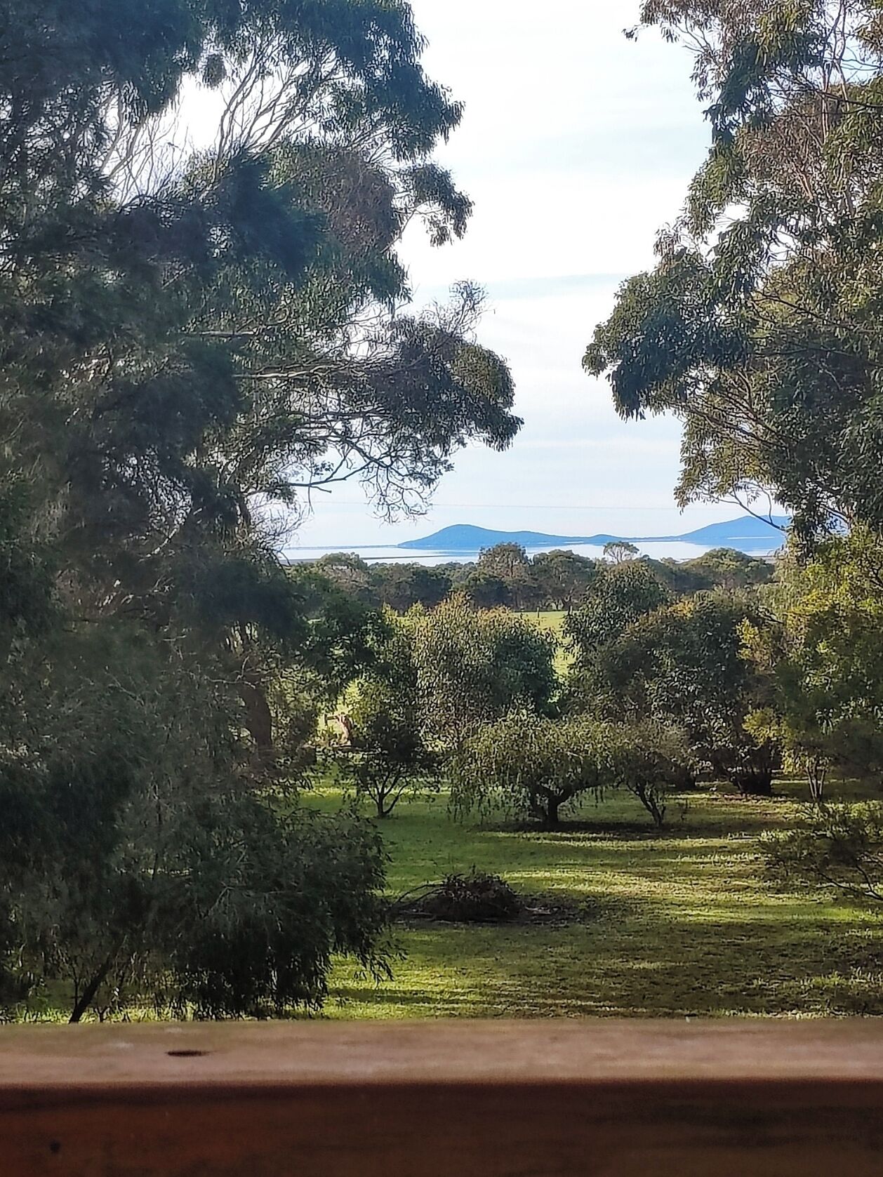 Vista de un parque con árboles y una cadena montañosa distante.