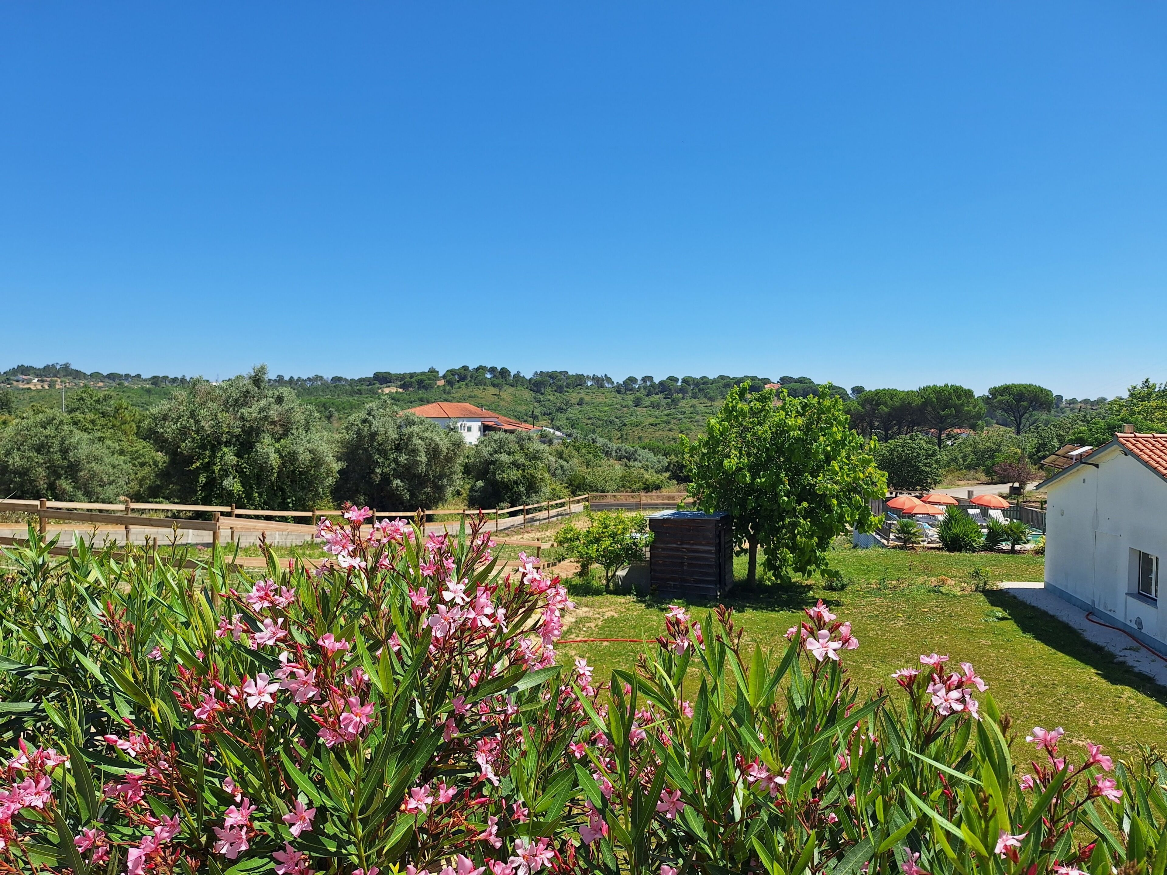 A rural landscape with a white building, a wooden fence, and a tree with pink flowers.