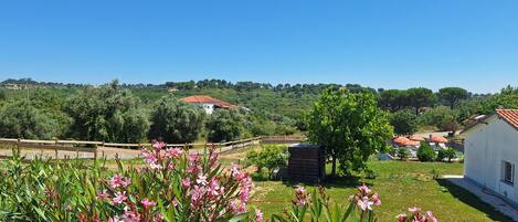 A rural landscape with a white building, a wooden fence, and a tree with pink flowers.