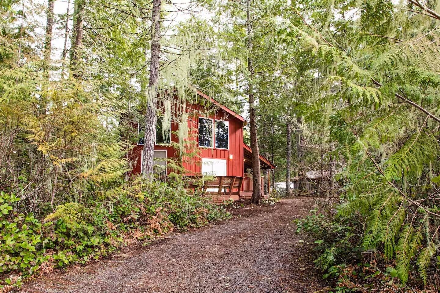 A red cabin surrounded by dense forest.
