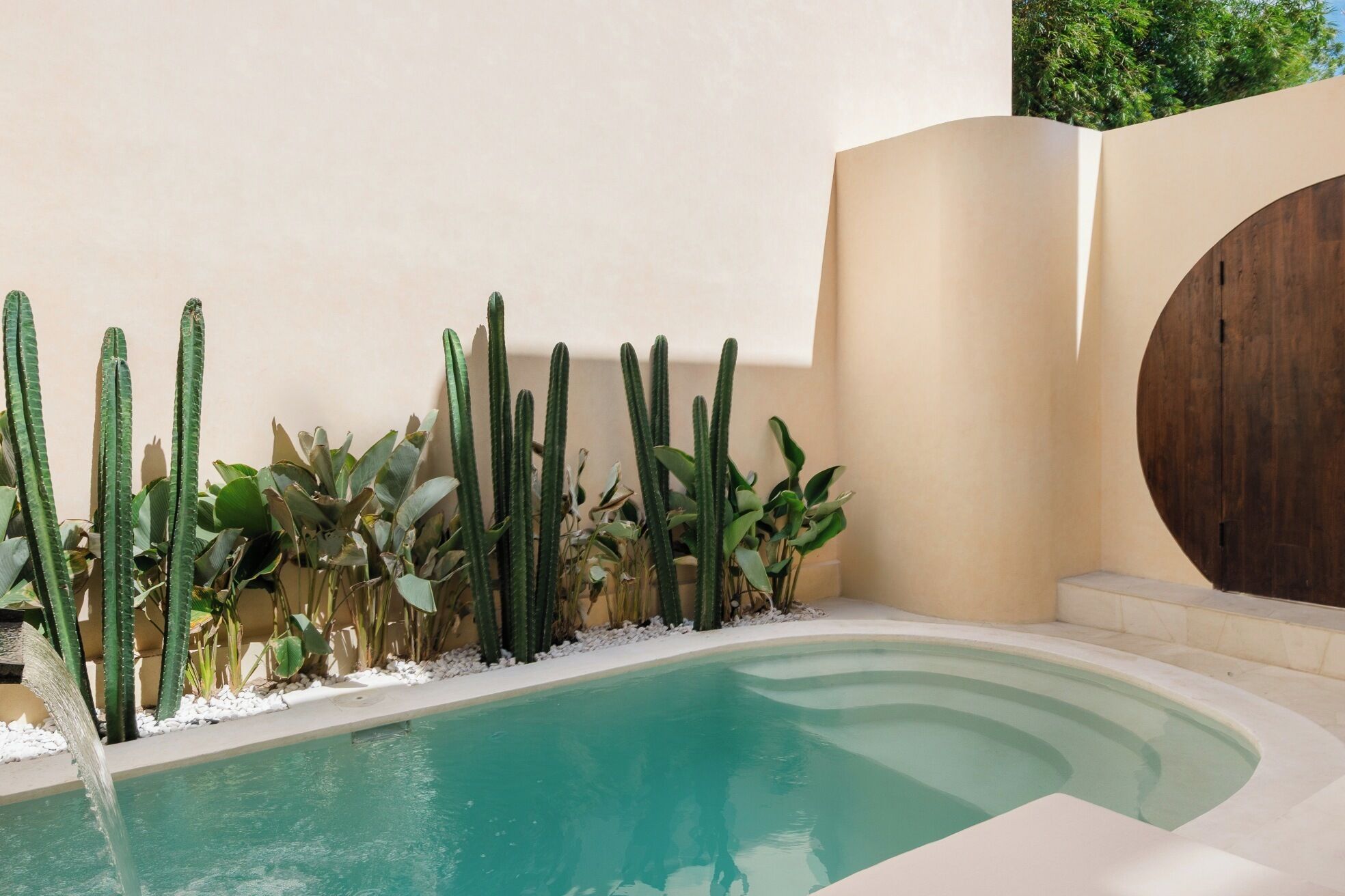 Una piscina rodeada de un muro color arena y un elemento circular de madera, con diversos cactus y suculentas.
