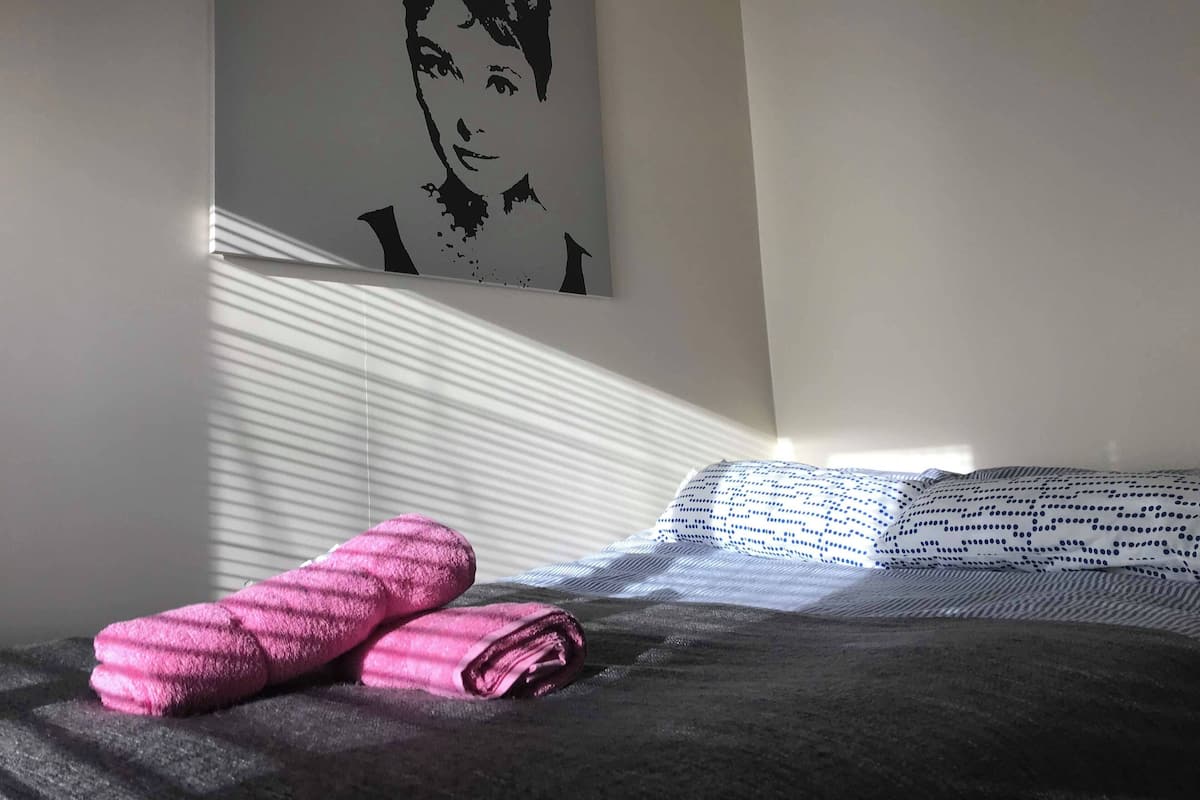 Basic Double Room (4-30) | WiFi (free)