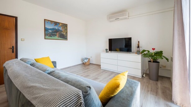 Ein Wohnzimmer mit einer Couch, einem Fernseher auf einem Schrank, einer Topfpflanze und einem Bild an der Wand.