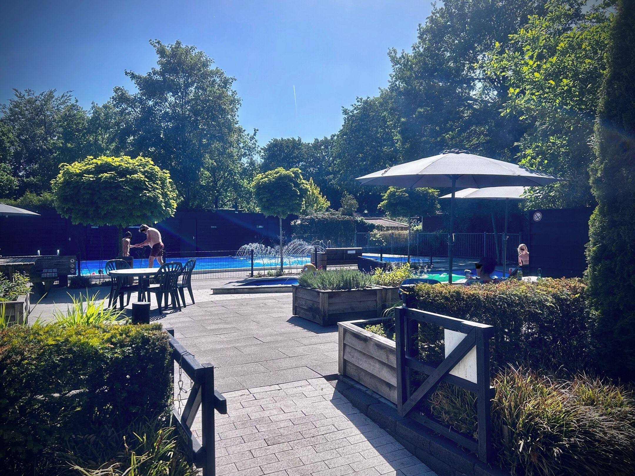 Zona de piscina exterior con una fuente, rodeada de follaje y protegida por sombrillas.