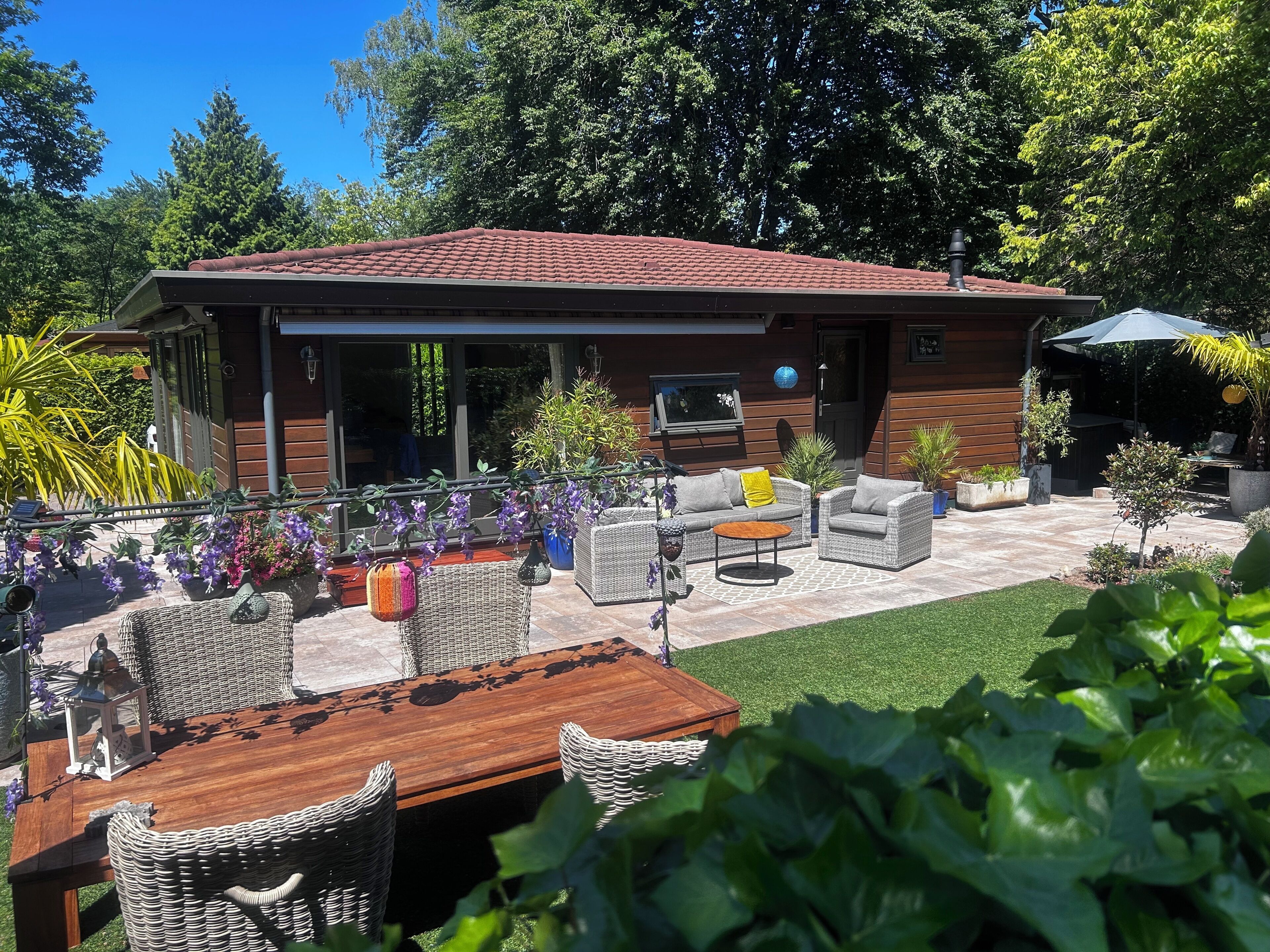 Terraza o patio
