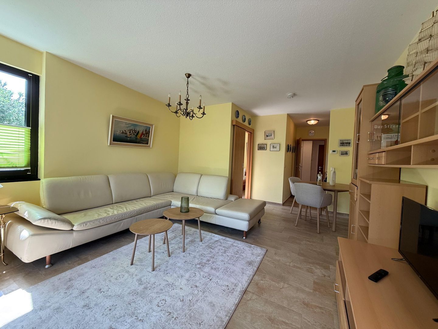 A living room with a sofa, a coffee table, a rug, and a television.