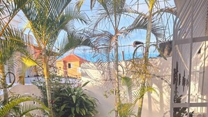An indoor garden with a variety of plants, a gravel pathway, and a white wall. - A beautiful, comfortable, and safe home for the whole family (Santo Domingo Este)