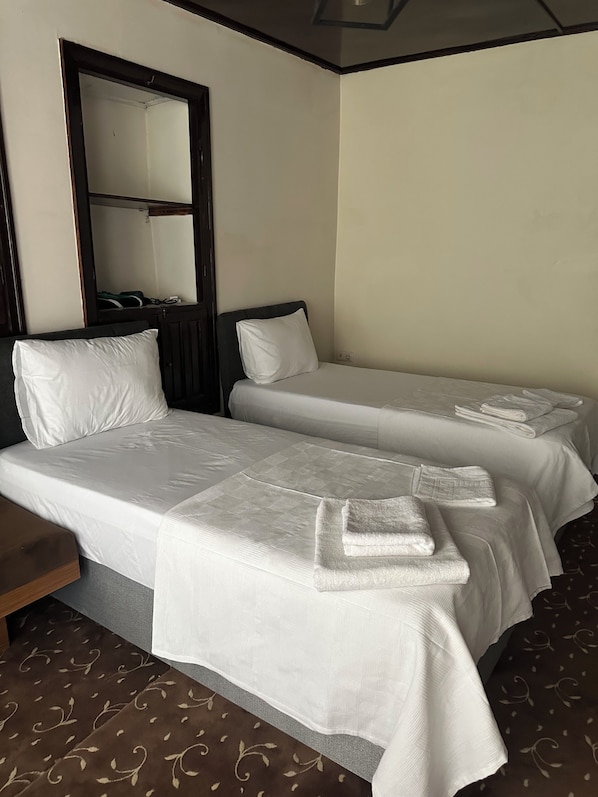 Habitación Confort con 2 camas individuales | Wifi gratis