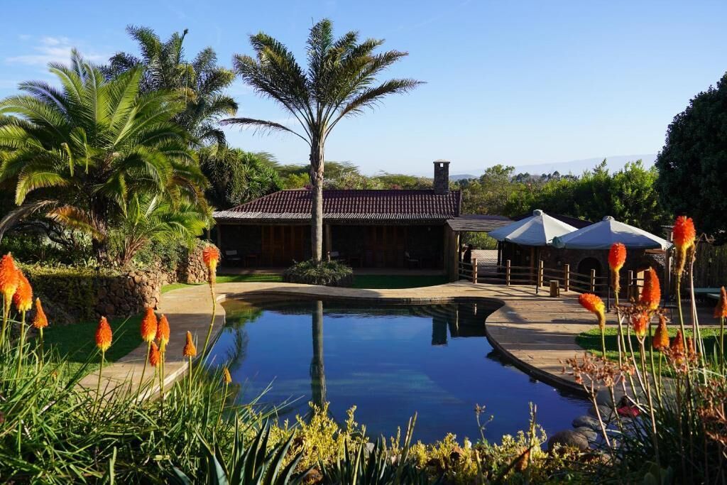 Outdoor pool, pool umbrellas, pool loungers