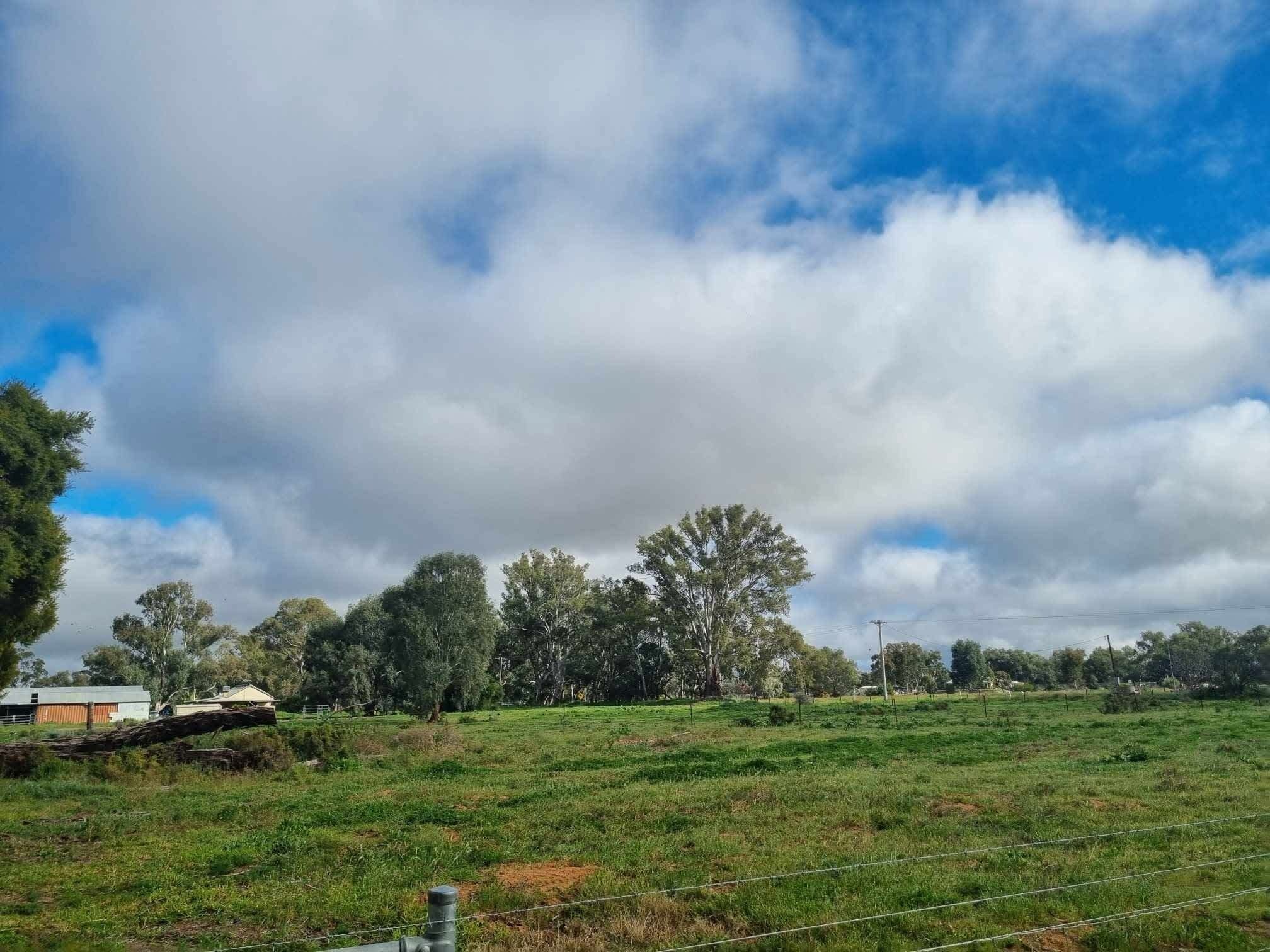 A rural landscape with a field, trees, and a building in the distance.
