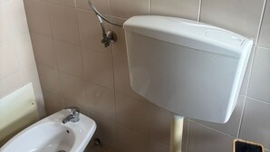 Baño con inodoro, bidé y ducha de mano.