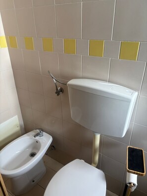 Ein Badezimmer mit Toilette, Bidet und Duschbrause.