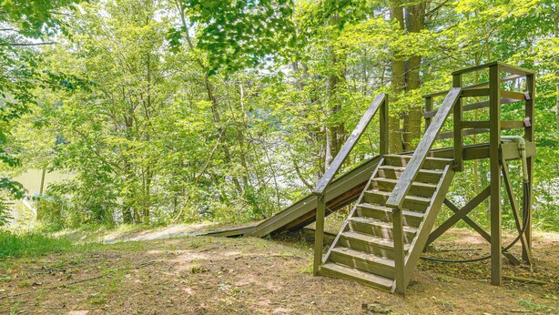 Eine Holztreppe führt zu einer Plattform in einem bewaldeten Gebiet.
