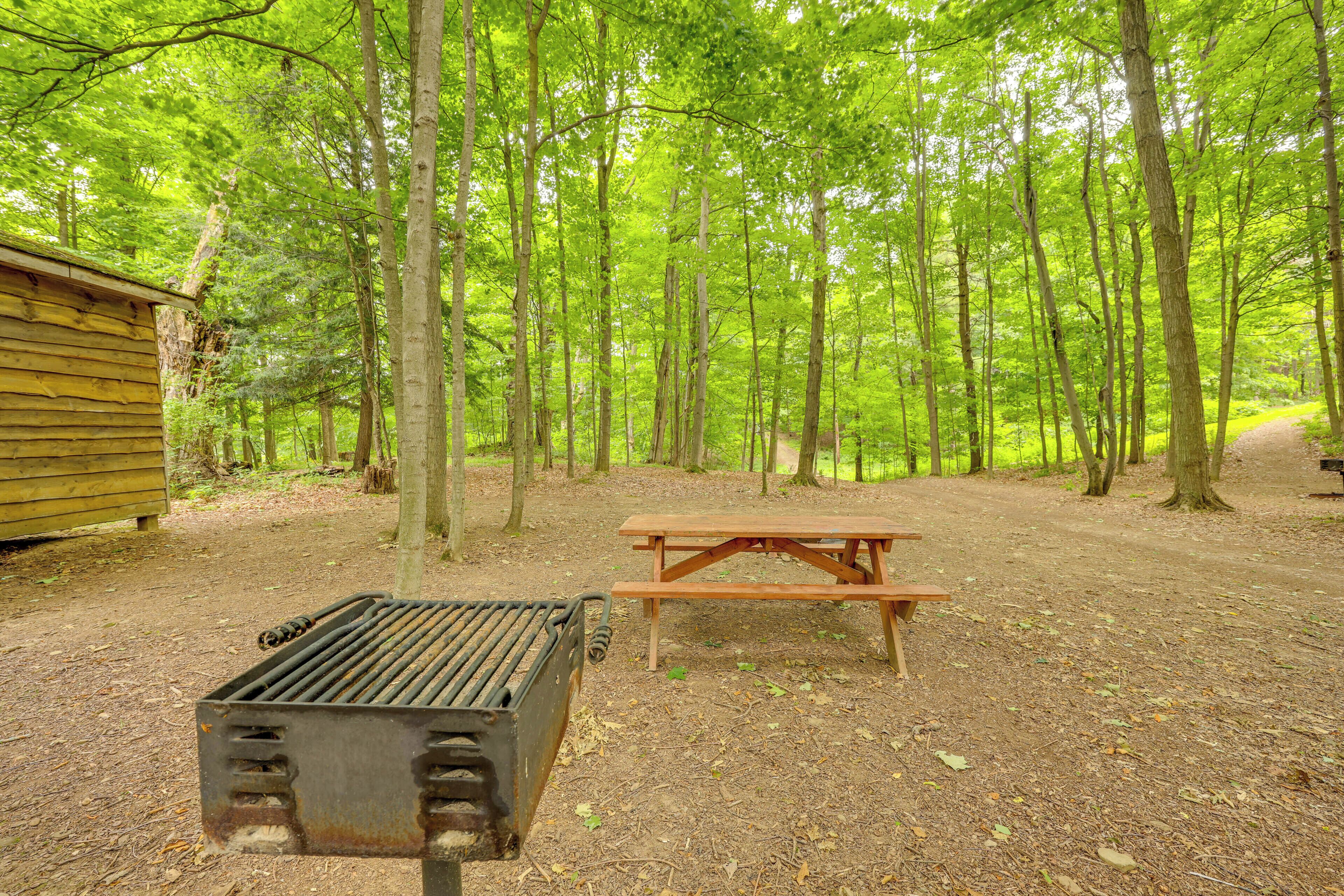 A campsite with a picnic table and a grill.