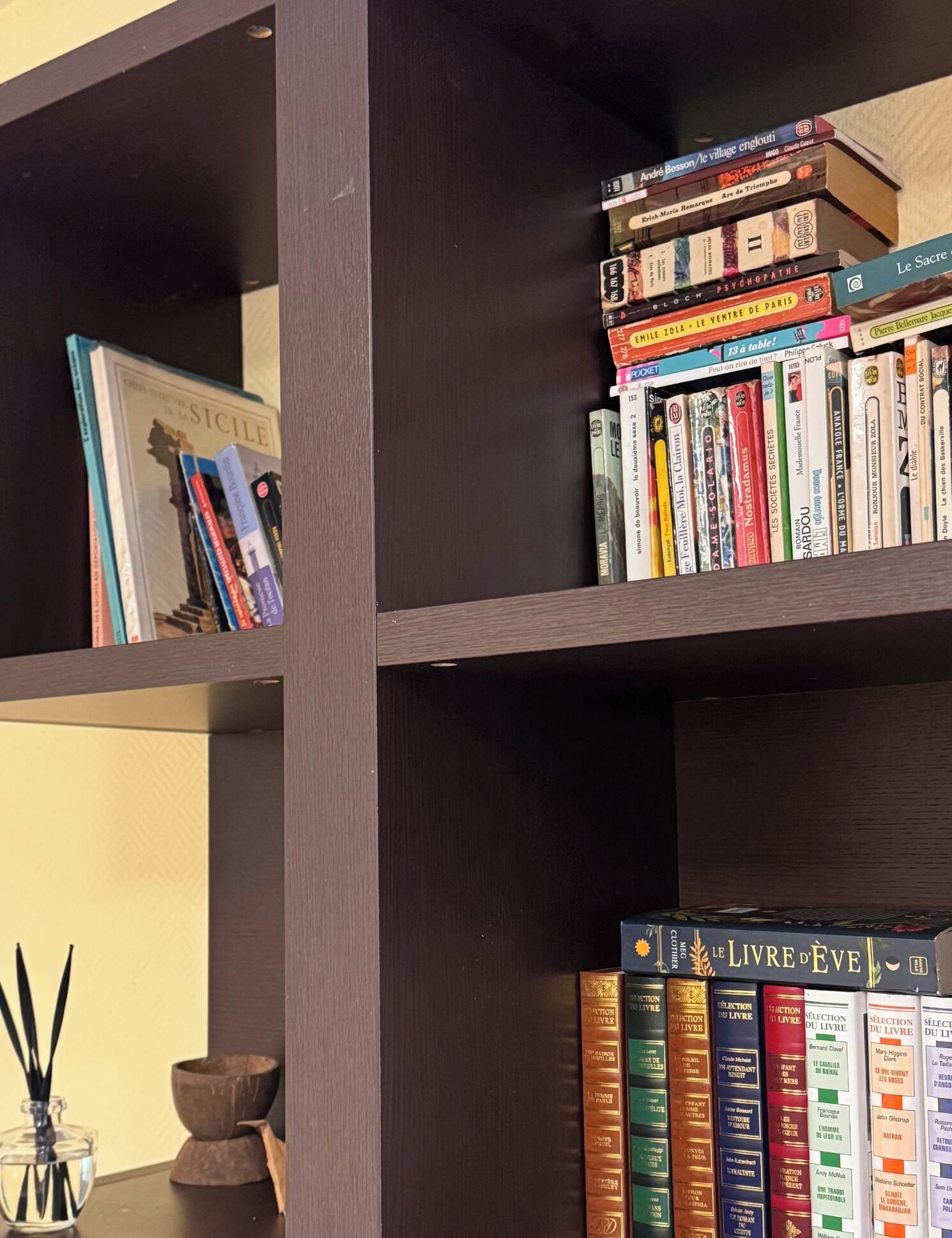 A bookshelf with various books, a small vase with reeds, and a wooden bowl.