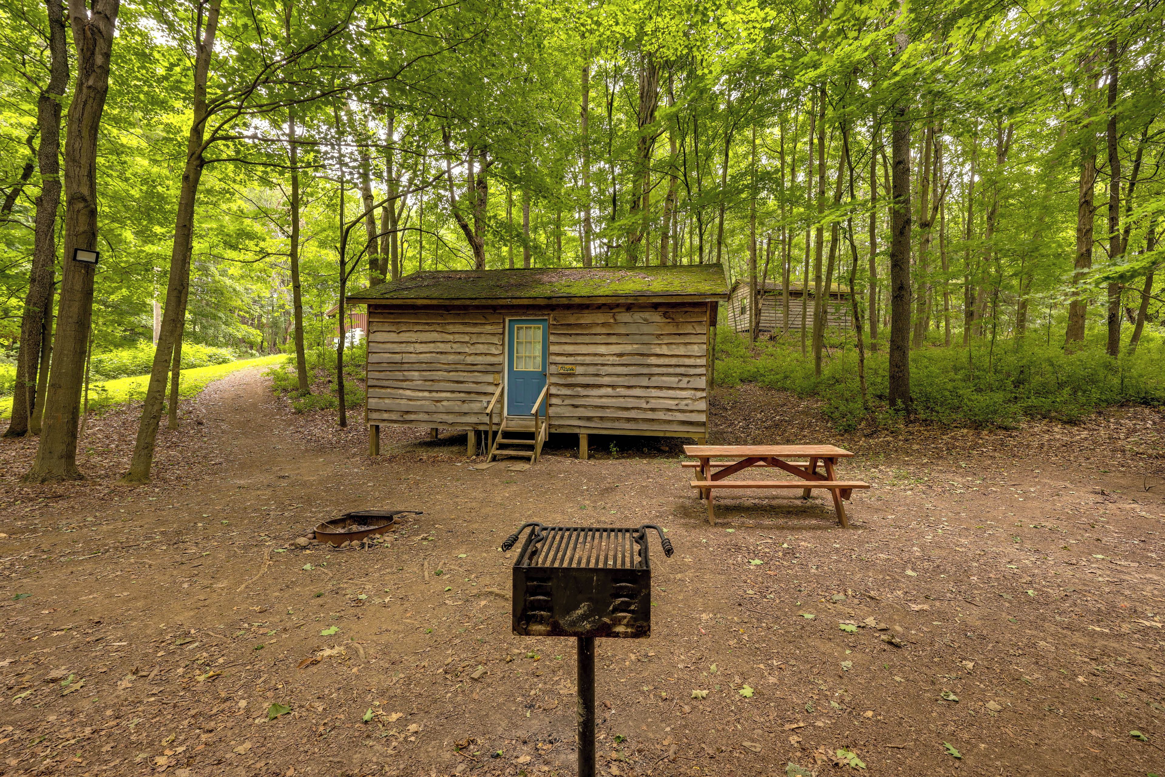 Une cabane en bois rustique avec une porte bleue, une table de pique-nique et un barbecue, située dans une zone boisée.