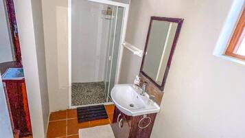 A bathroom with a shower, sink, and mirror.