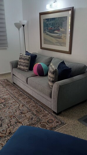 A living room with a grey sofa, a patterned rug, and a framed picture on the wall. - San Antonio Puerto Rico (Aguas Buenas city)