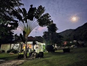 Una casa amb un jardí, un arbre gran i una muntanya al fons.