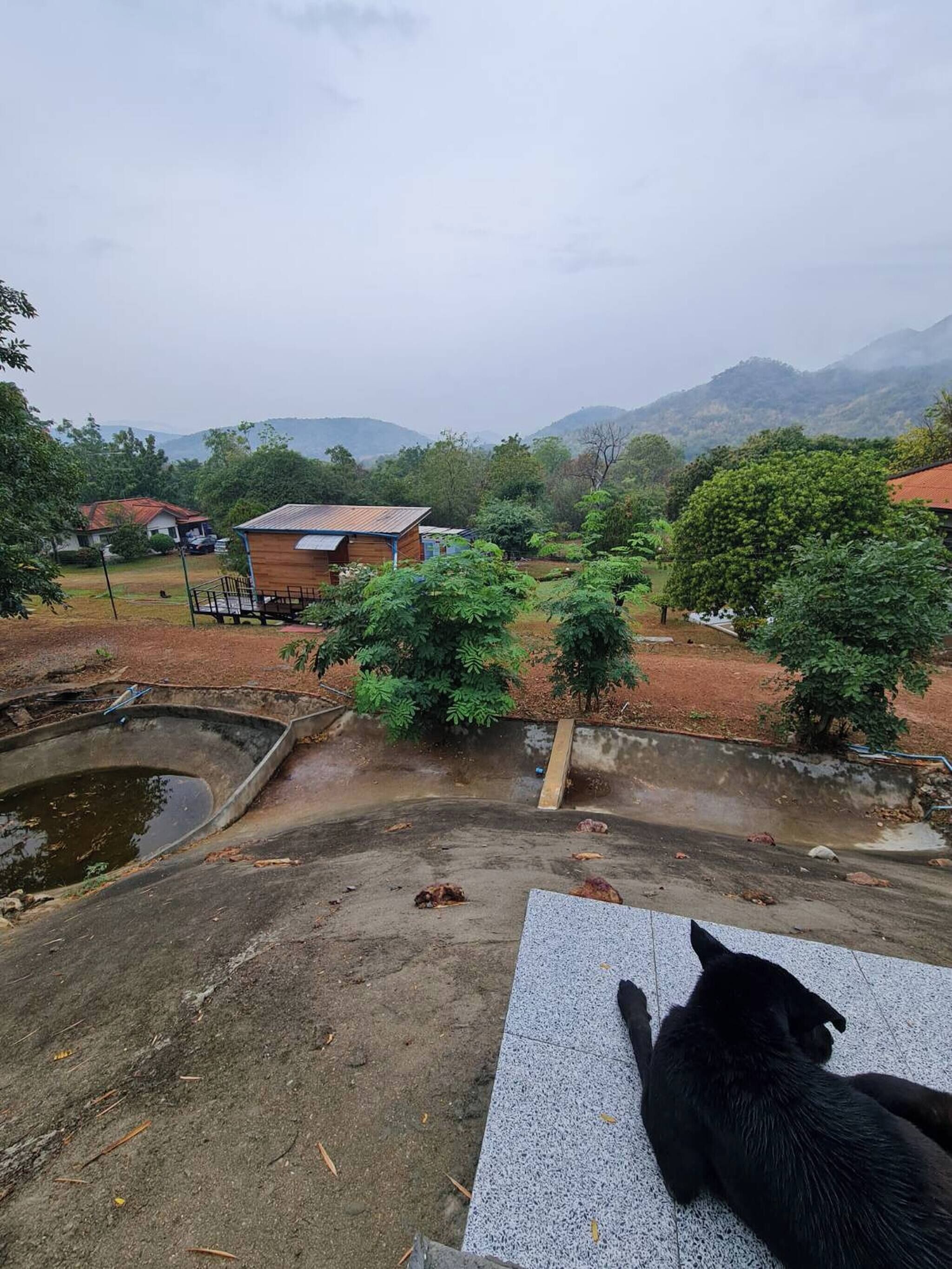 A black dog lying on a tiled surface with a view of a rural landscape, including a wooden building and a pond.