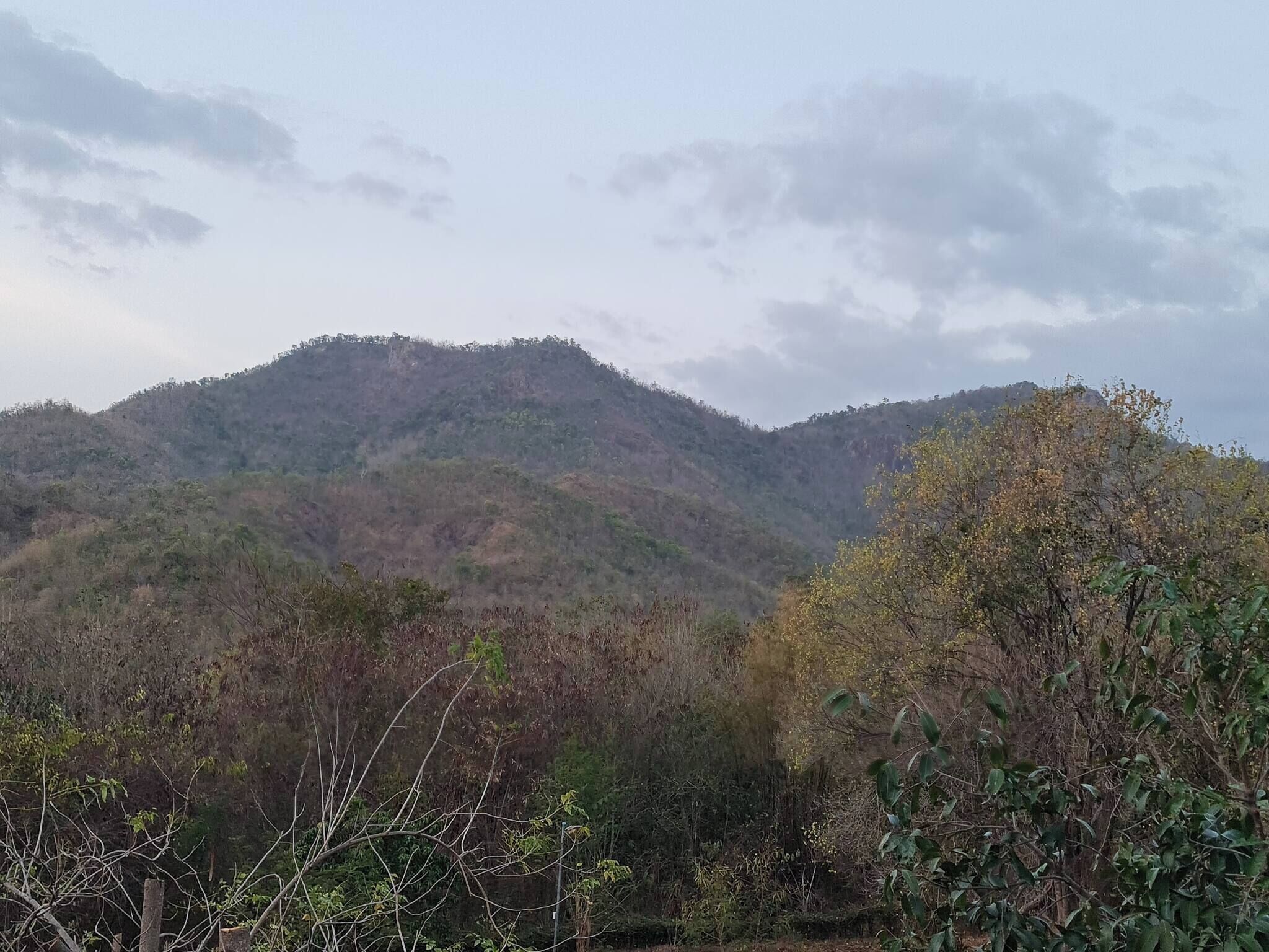 A mountainous landscape with dense vegetation and a clear sky.
