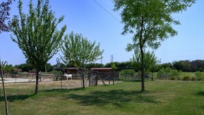 Ein von Zäunen umgebenes Außenbereich mit Bäumen und einem Gebäude im Hintergrund.