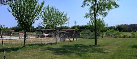 A fenced outdoor area with trees and a building in the background.
