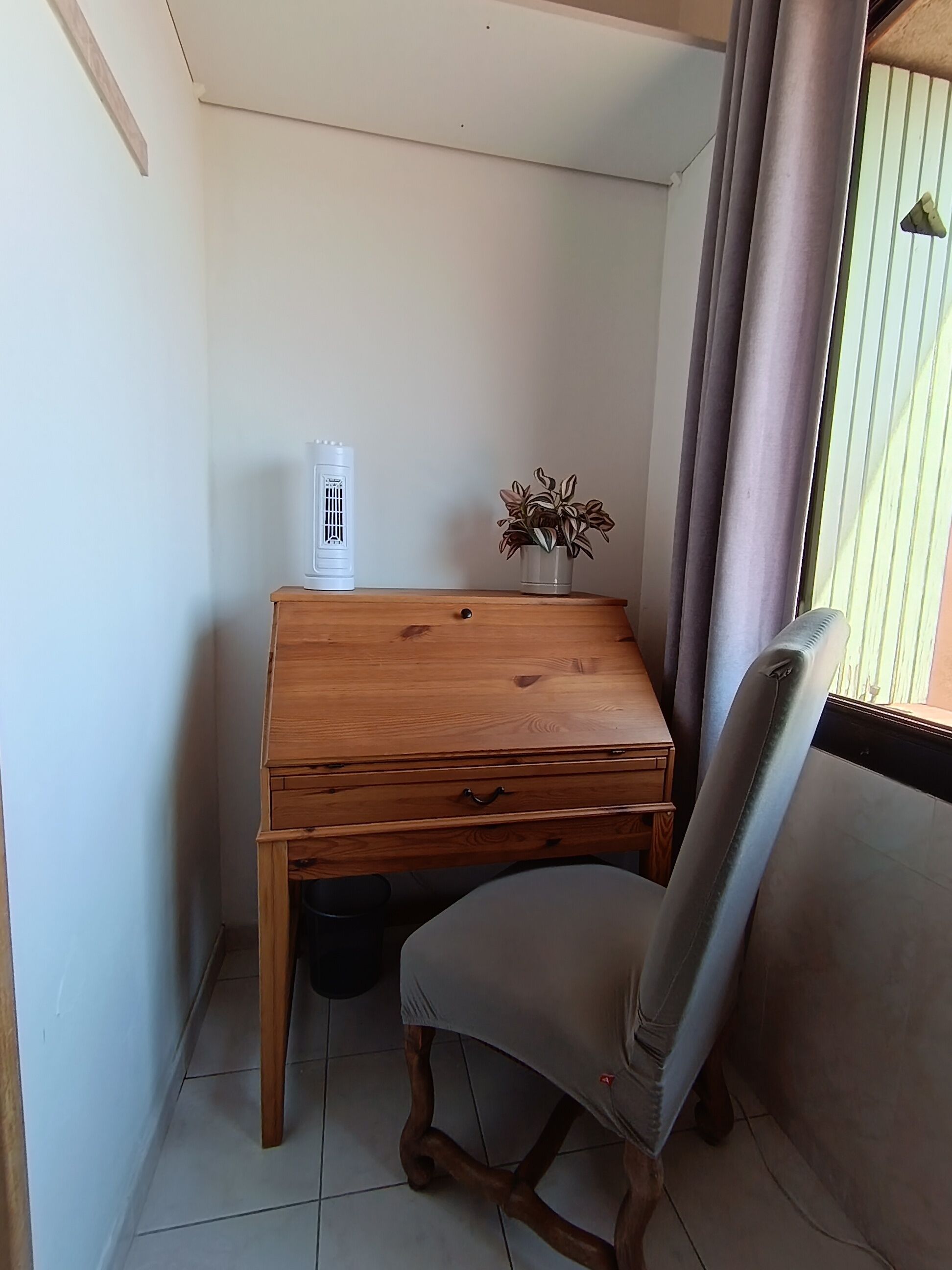 A small room with a wooden desk, a chair, a white radiator, and a potted plant.