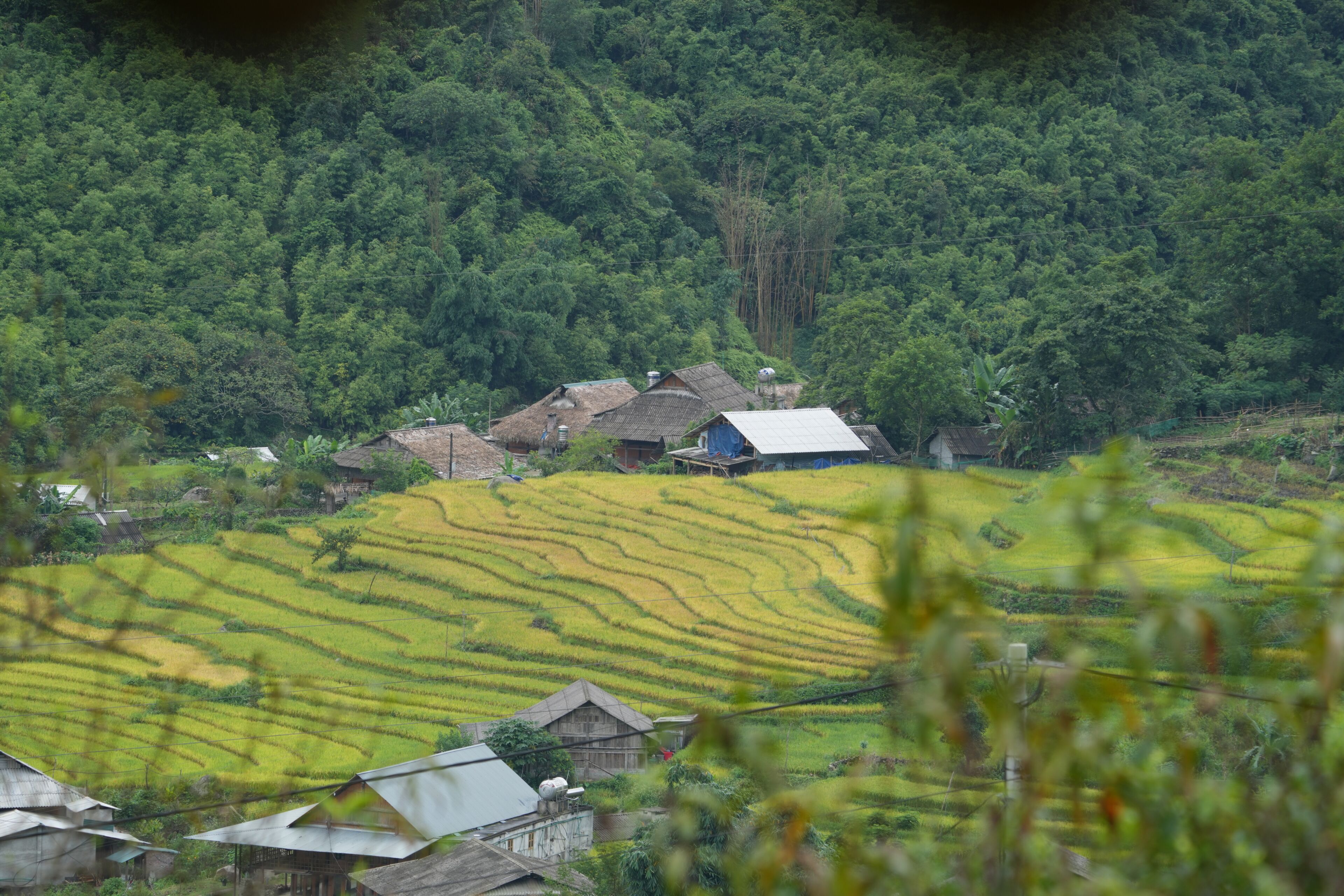 Paisagem rural com campos em socalcos e casas tradicionais.